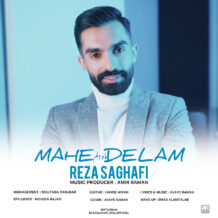 آهنگ جدید رضا ثقفی به نام ماه دلم